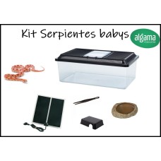 Kit para serpientes pequeñas (Babys)